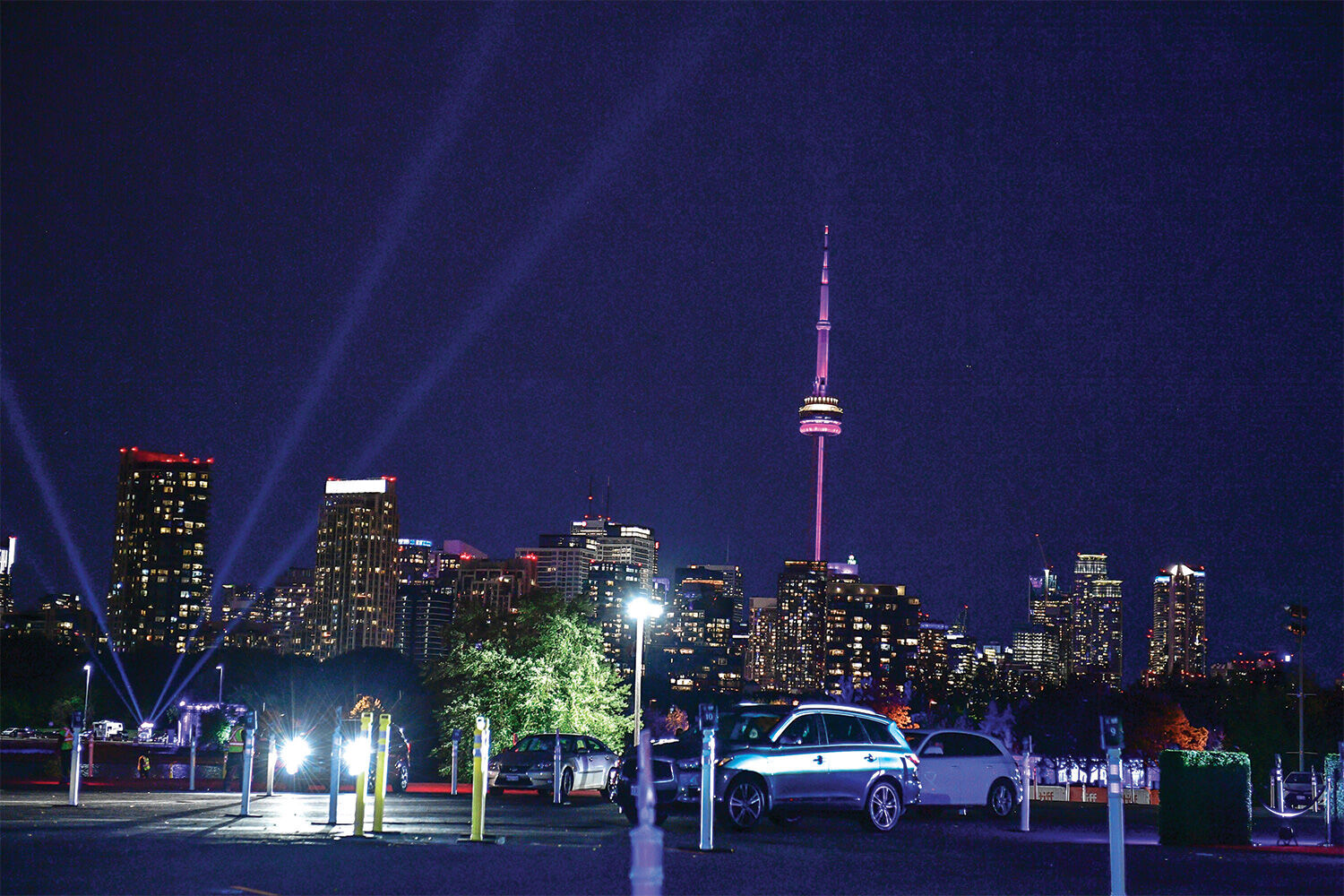 Premiere of FALLING at TIFF 2020